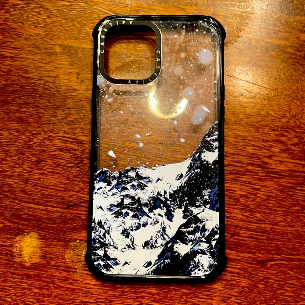 Casetify iPhone 12 Pro Max case